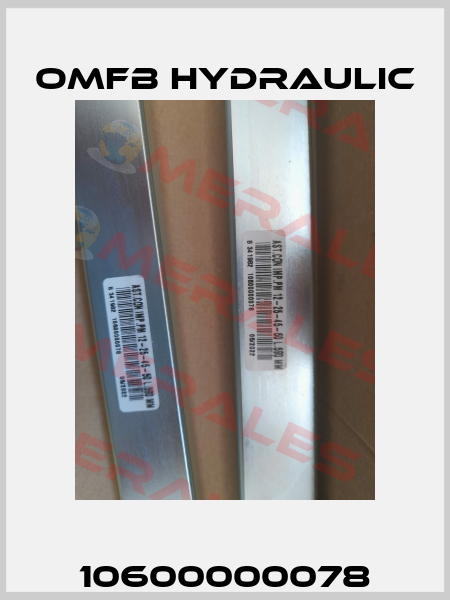 10600000078 OMFB Hydraulic