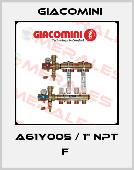 A61Y005 / 1” NPT F  Giacomini