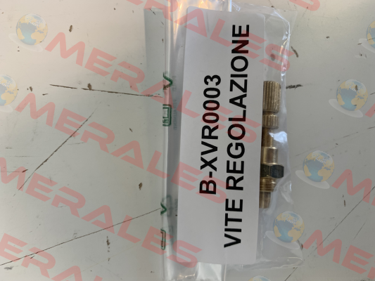 B-XVR0003 Balossi