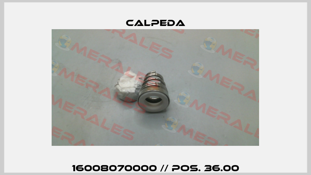 16008070000 // pos. 36.00 Calpeda