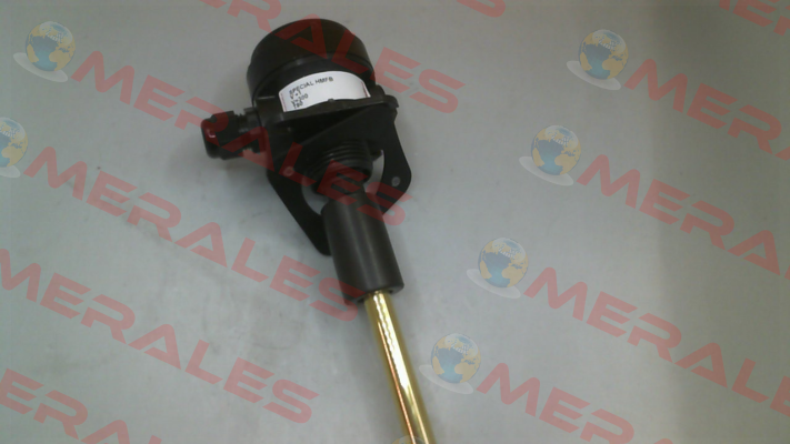 HMFB V+1 T80 V=300 Hemomatik