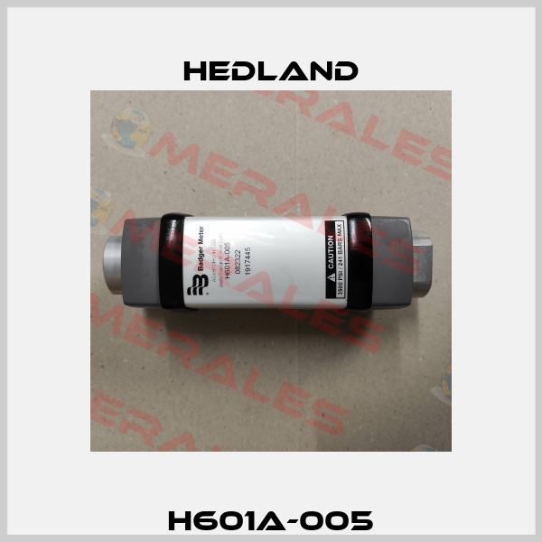 H601A-005 Hedland
