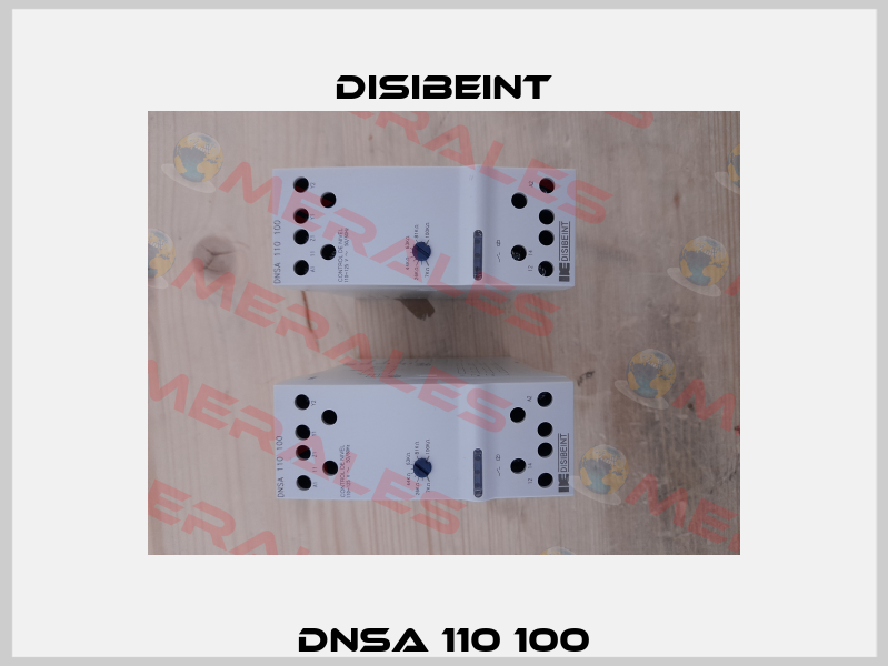 DNSA 110 100 Disibeint