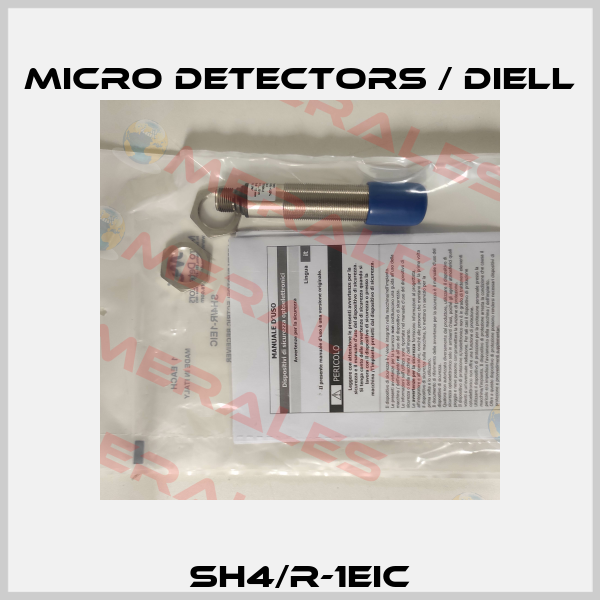 SH4/R-1EIC Micro Detectors / Diell