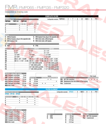 FMP-320-1-B-A-G1-A25-N-P01 MP Filtri
