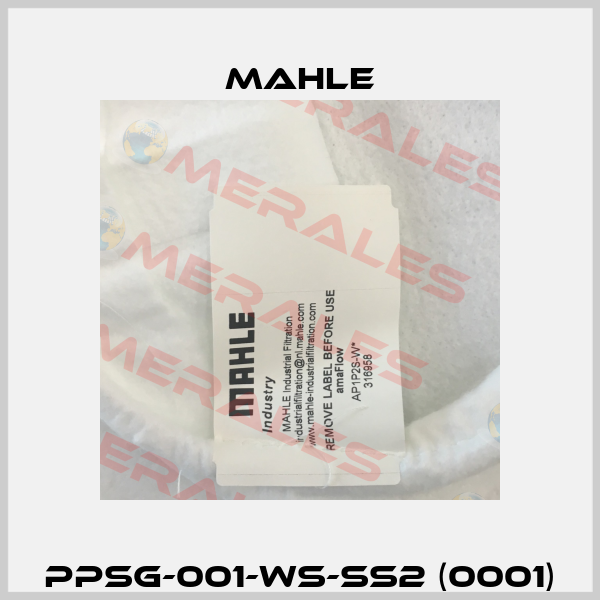 PPSG-001-WS-SS2 (0001) MAHLE
