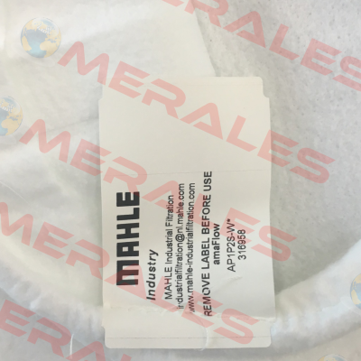 PPSG-001-WS-SS2 (0001) MAHLE