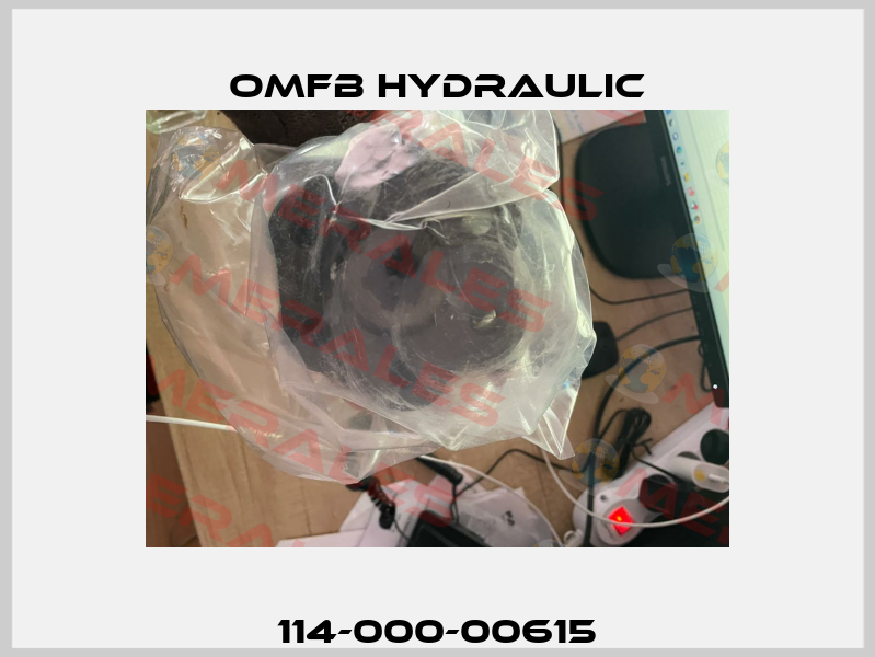 114-000-00615 OMFB Hydraulic