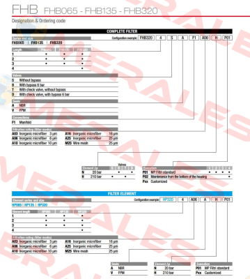 FHB-065-1-B-A-F1-A10-N-P01 MP Filtri