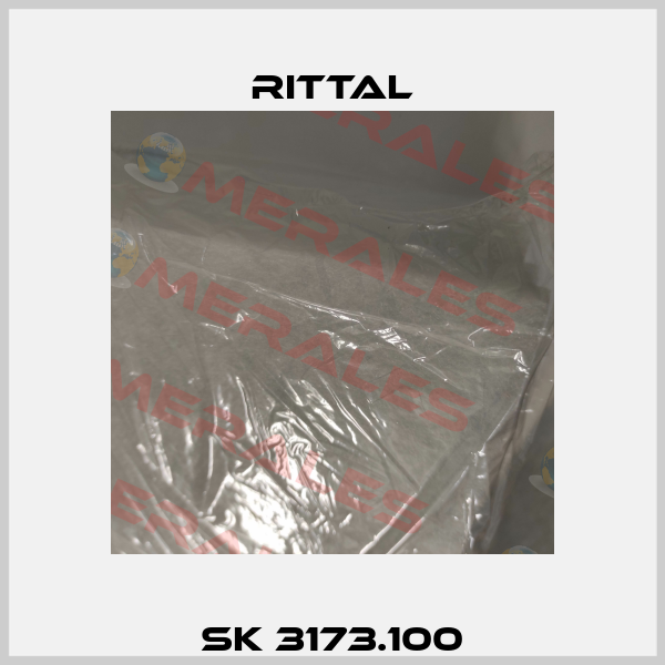 SK 3173.100 Rittal