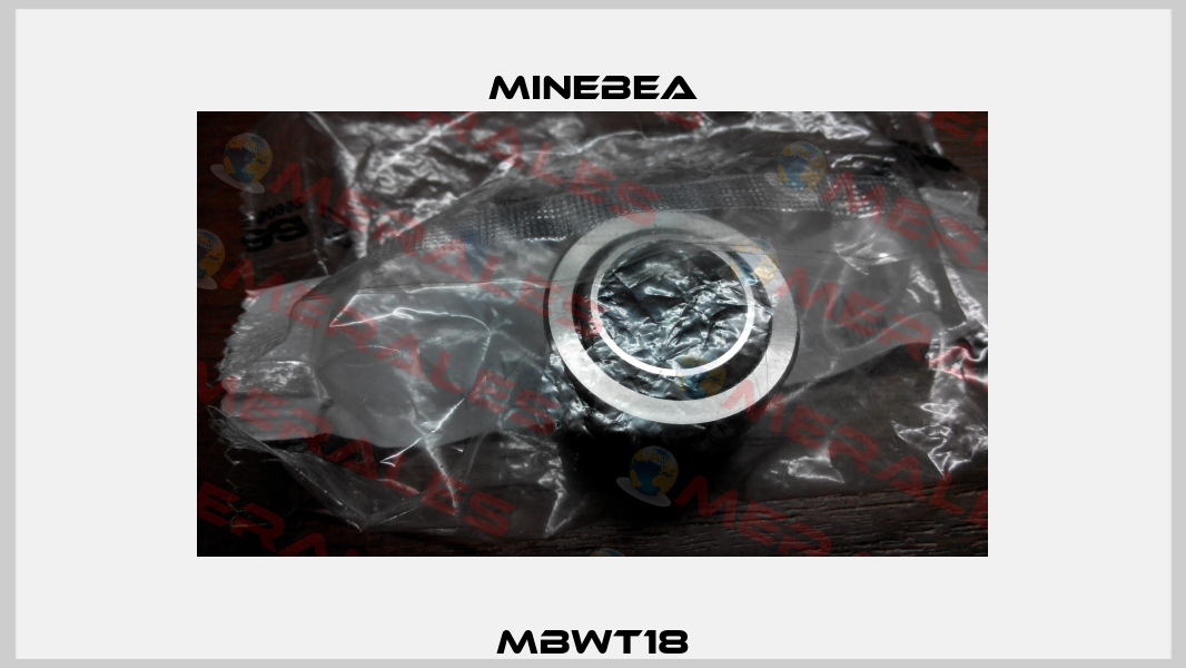 MBWT18 Minebea