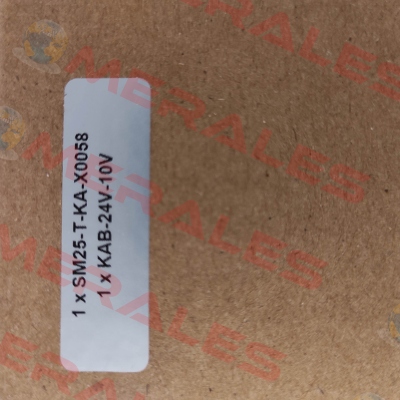 SM25-T-KA-X0058 EDDYLAB