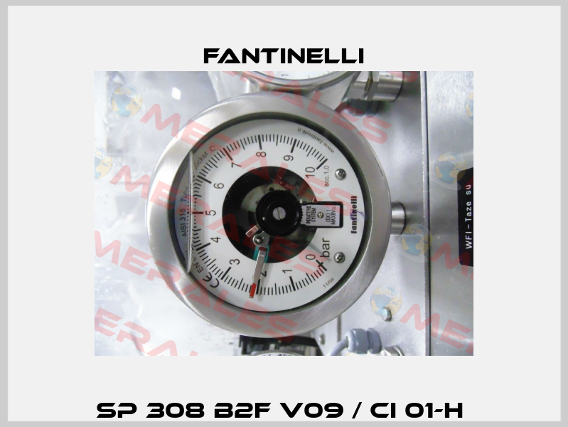 SP 308 B2F V09 / CI 01-H  Fantinelli