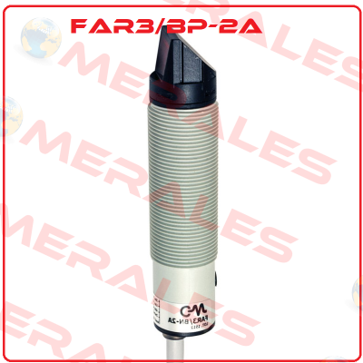 FAR3/BP-2A Micro Detectors / Diell (now Datasensing)