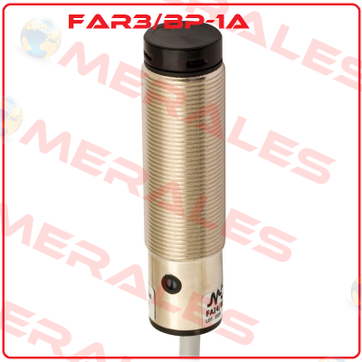 FAR3/BP-1A Micro Detectors / Diell (now Datasensing)