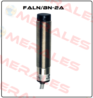 FALN/BN-2A Micro Detectors / Diell (now Datasensing)