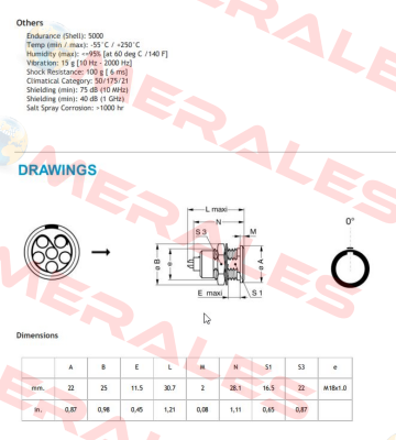EGG.3B.306.CLL Lemo