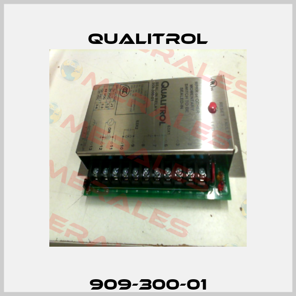 909-300-01 Qualitrol