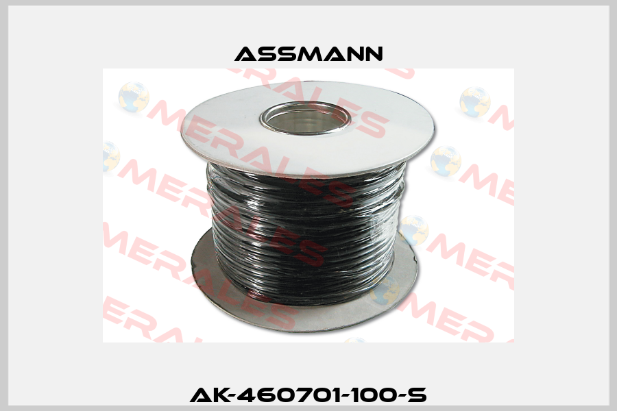 AK-460701-100-S Assmann