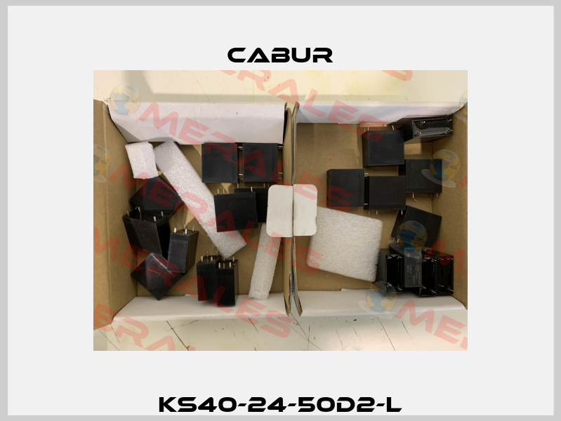 KS40-24-50D2-L Cabur