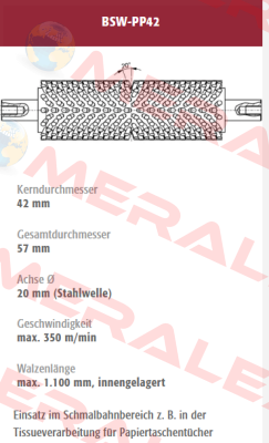 BSW-PP42-232176 old code / new code BSW-PP42-232176/1 Mink Bürsten