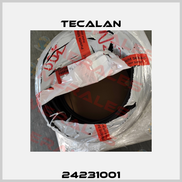 24231001 Tecalan