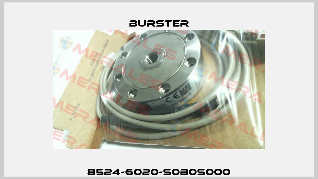 8524-6020-S0B0S000 Burster