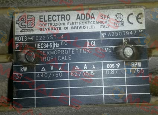 A2503947 Electro Adda