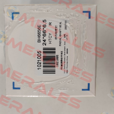 BH6656E DMHUI