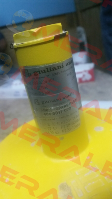 FGDR40  Giuliani Anello