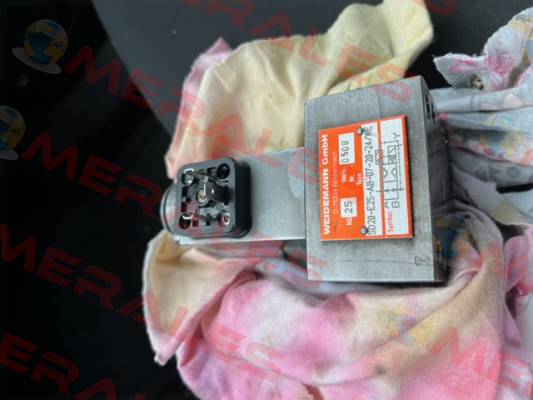 SD20-E25-AB-07-20-24/WE Weidemann