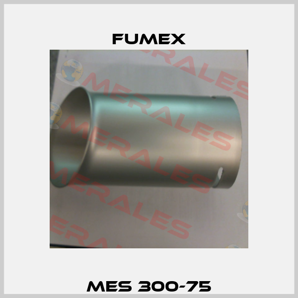 MES 300-75 Fumex