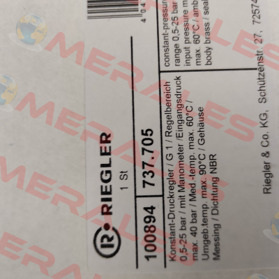 100894 / 737.705 Riegler
