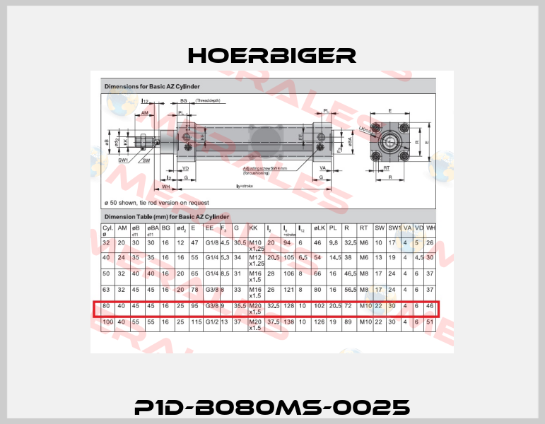 P1D-B080MS-0025 Hoerbiger