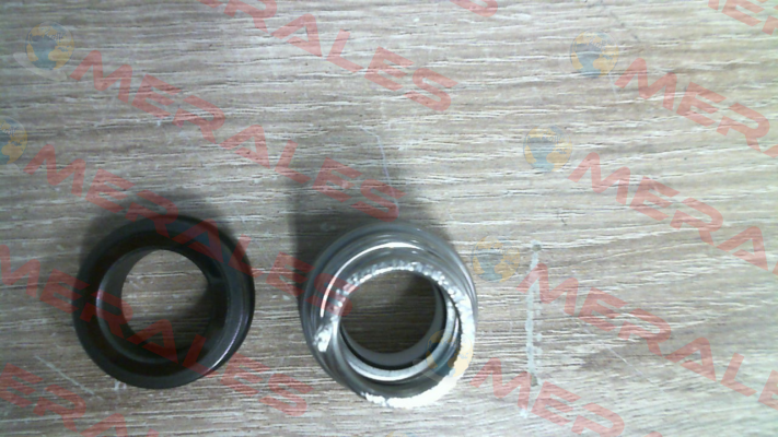 Mechanical seal for NM25/160AE-60  2013408020 Calpeda