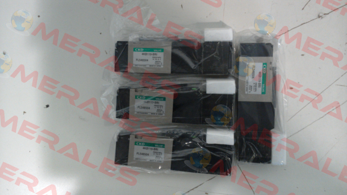 4KB119-00-BRI-FL548504-DC24V Ckd