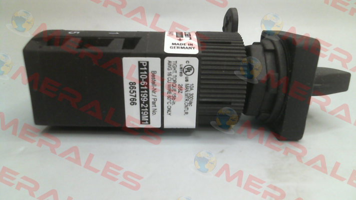 P110-61199-219M1 Salzer