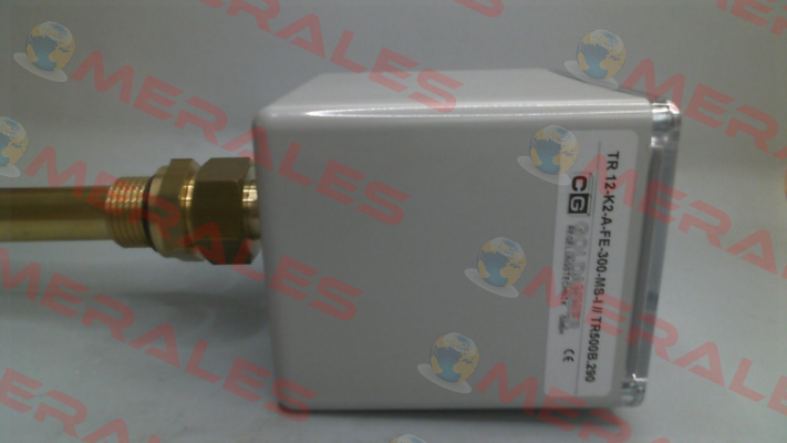 TR 12-K2-A-FE-300-MS-I Goldammer