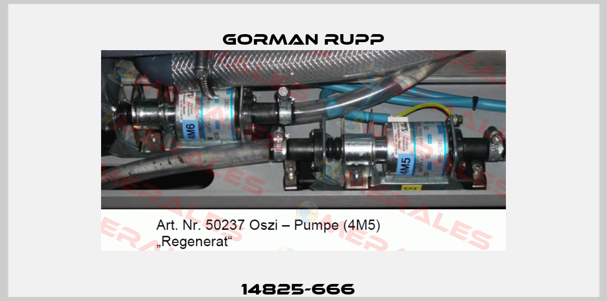 14825-666   Gorman Rupp