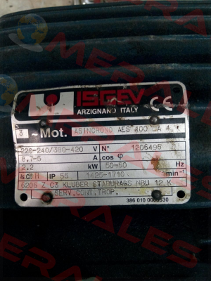 ASINCRONO AES 100 LA 4    NO:1206496  OEM  Isgev