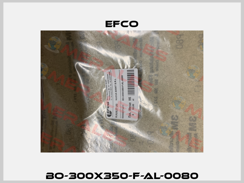 BO-300X350-F-AL-0080 Efco