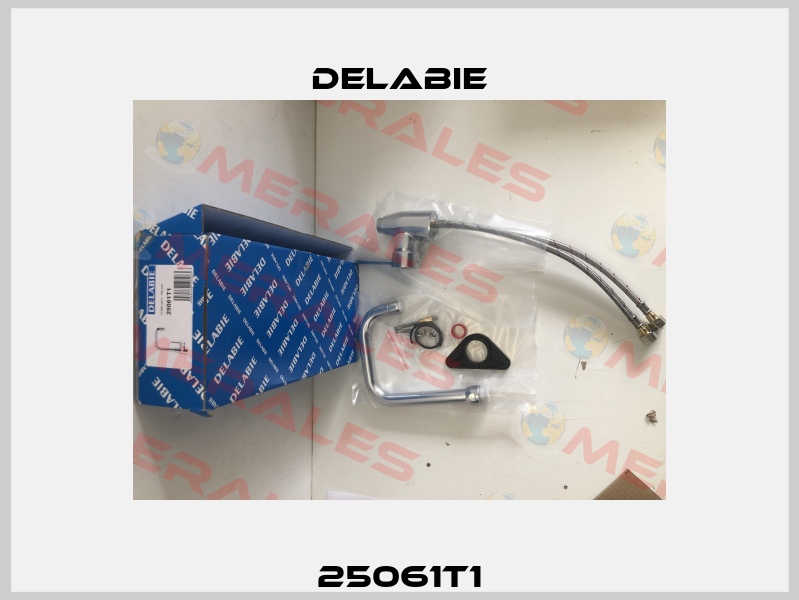 25061T1 Delabie