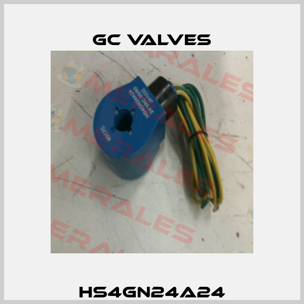 HS4GN24A24 GC Valves