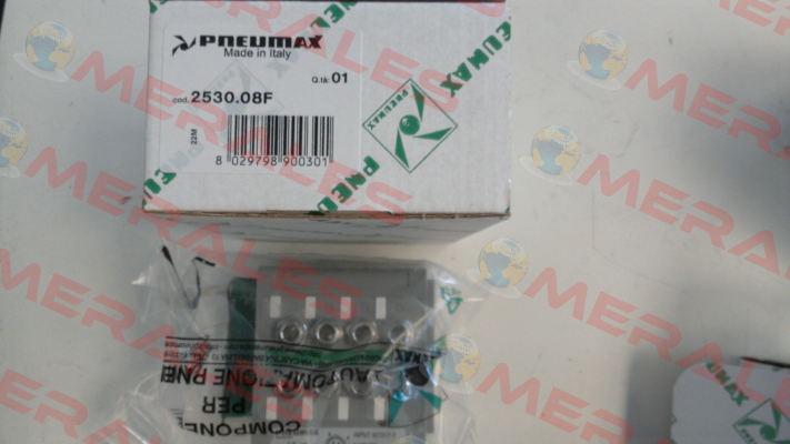 2530.08F Pneumax