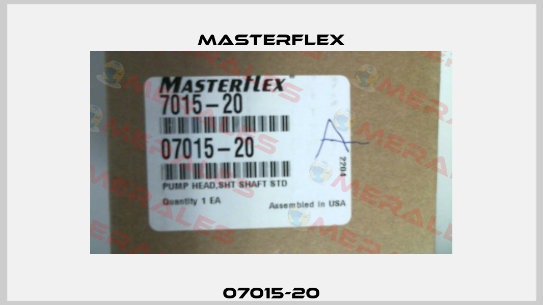 07015-20 Masterflex