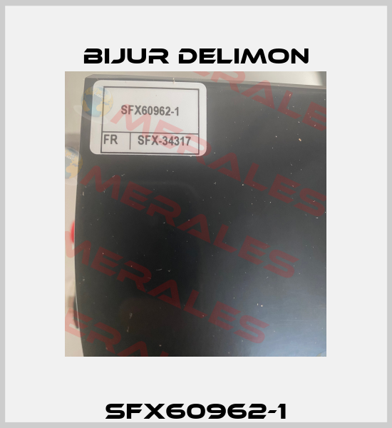 SFX60962-1 Bijur Delimon