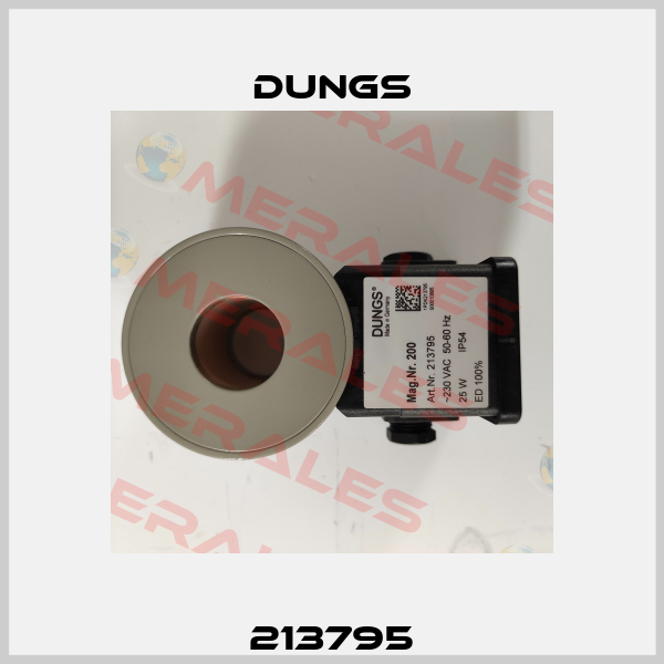 213795 Dungs