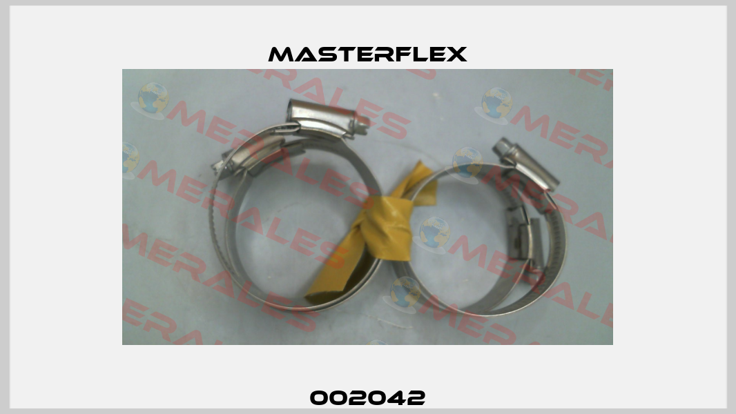 002042 Masterflex