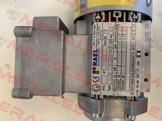RL56B 4 (RL0046) RAEL MOTORI ELETTRICI