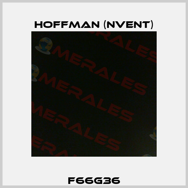 F66G36 Hoffman (nVent)